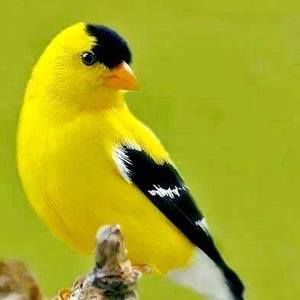 Meet your Posher, Beverly